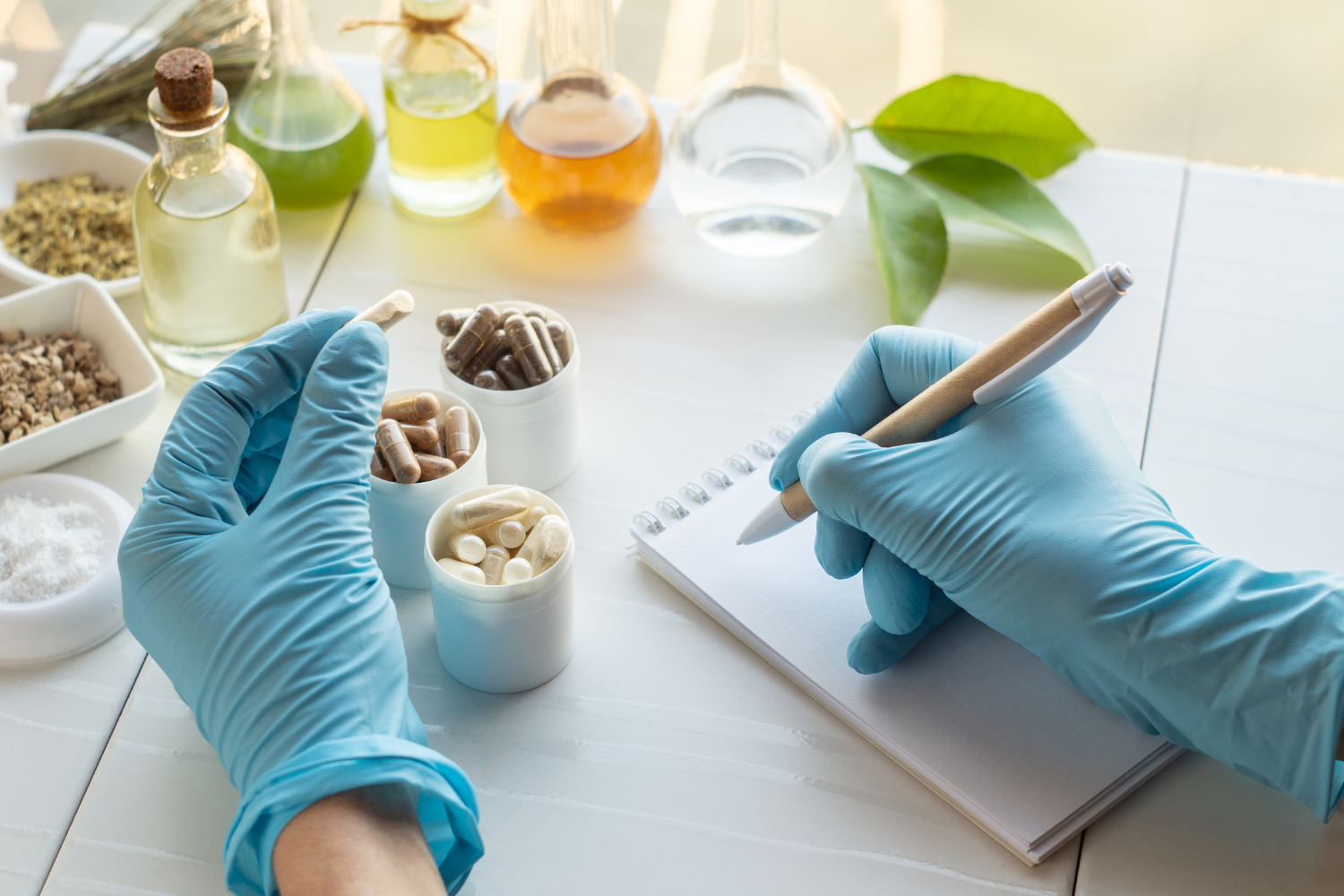 Gloved hands reviewing capsules and botanical ingredients for energy supplements