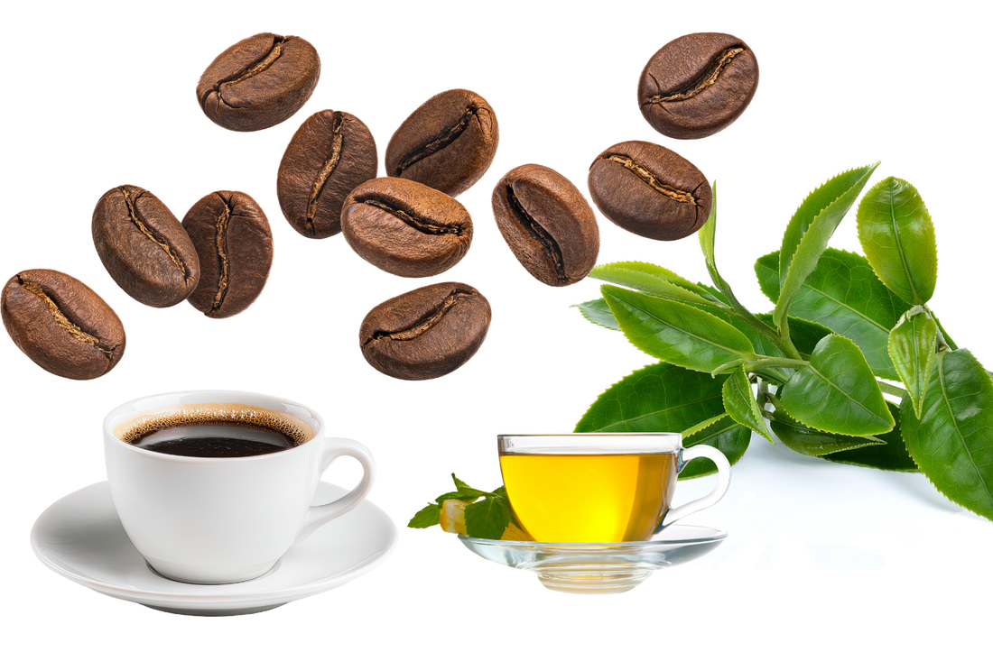 Coffee and green tea with coffee beans and tea leaves representing caffeine and L-theanine for energy, calm alertness, and focus.