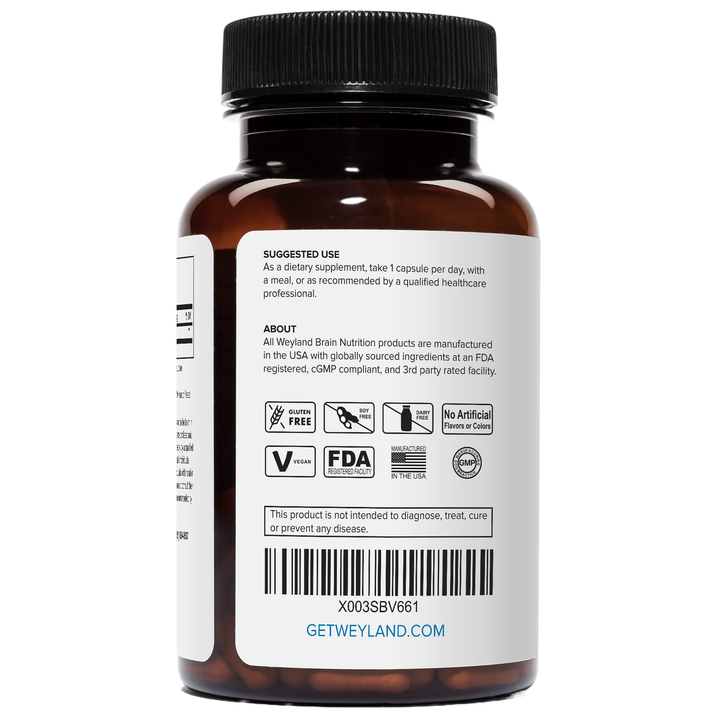 Lithium Orotate – 1000 mcg