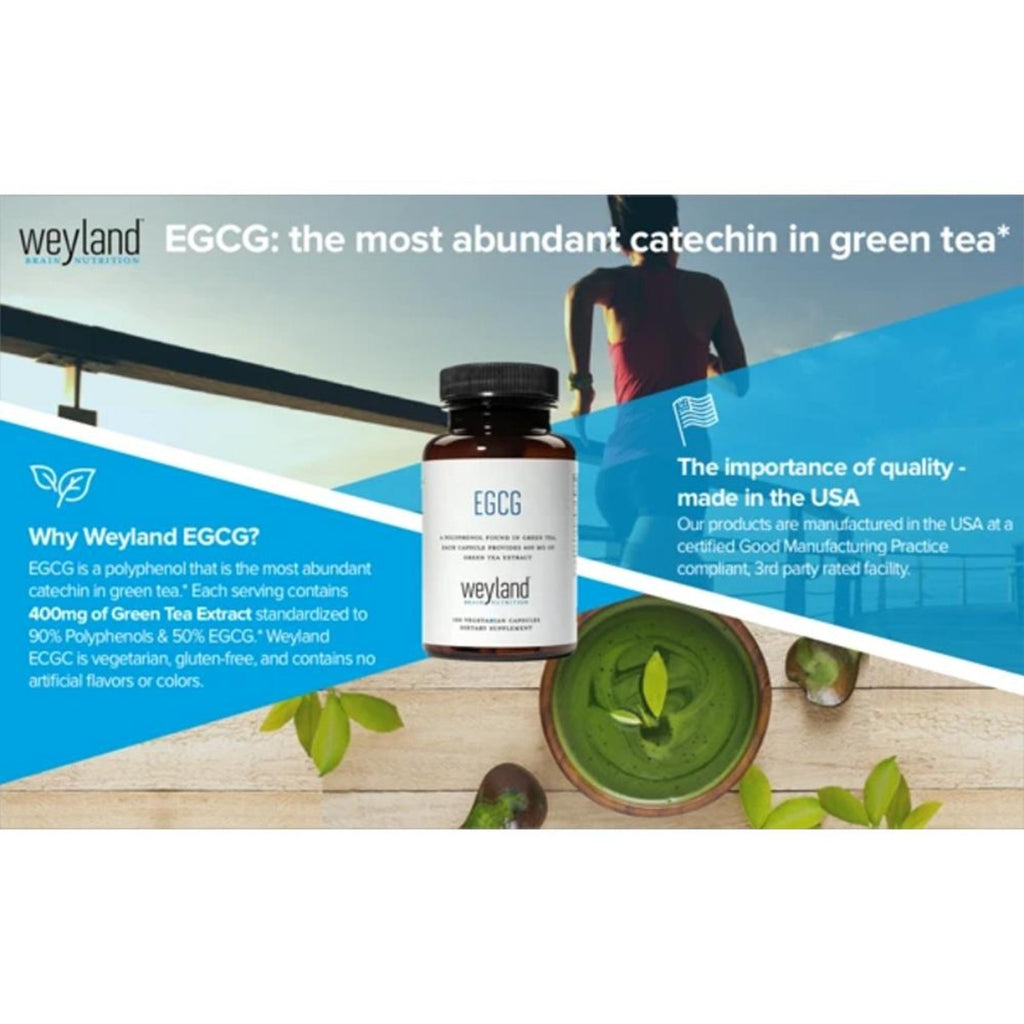 Private Label ACV Thermo W/ Green Tea 50% EGCG